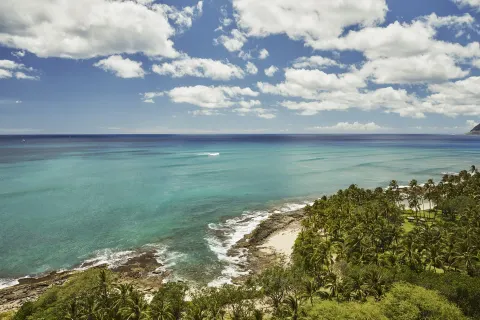 Turquoise ocean, rocky shoreline and palms by Four Seasons Resort Oahu at Ko Olina.