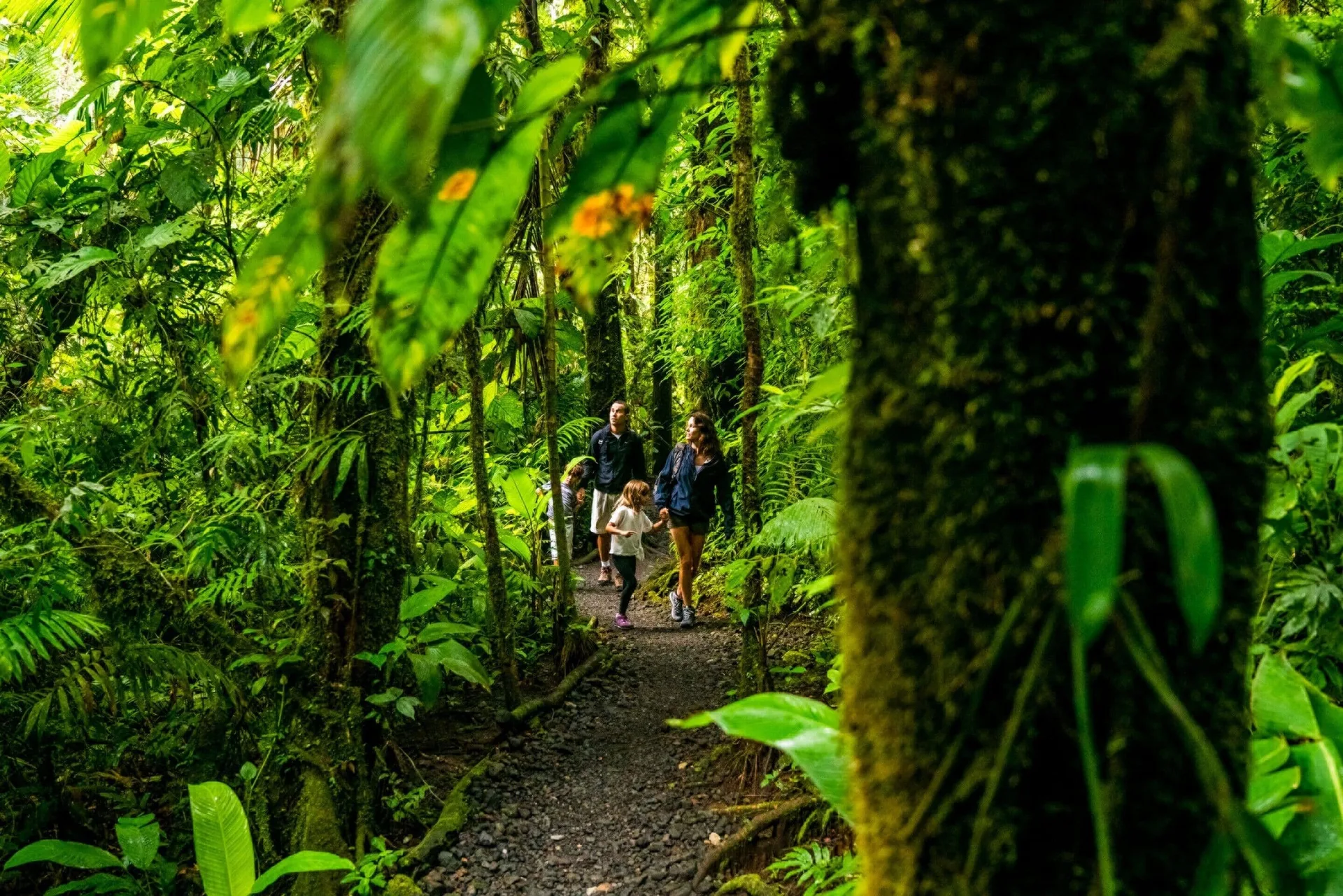 A family walks a lush forest trail at Four Seasons Resort Peninsula Papagayo, Costa Rica.