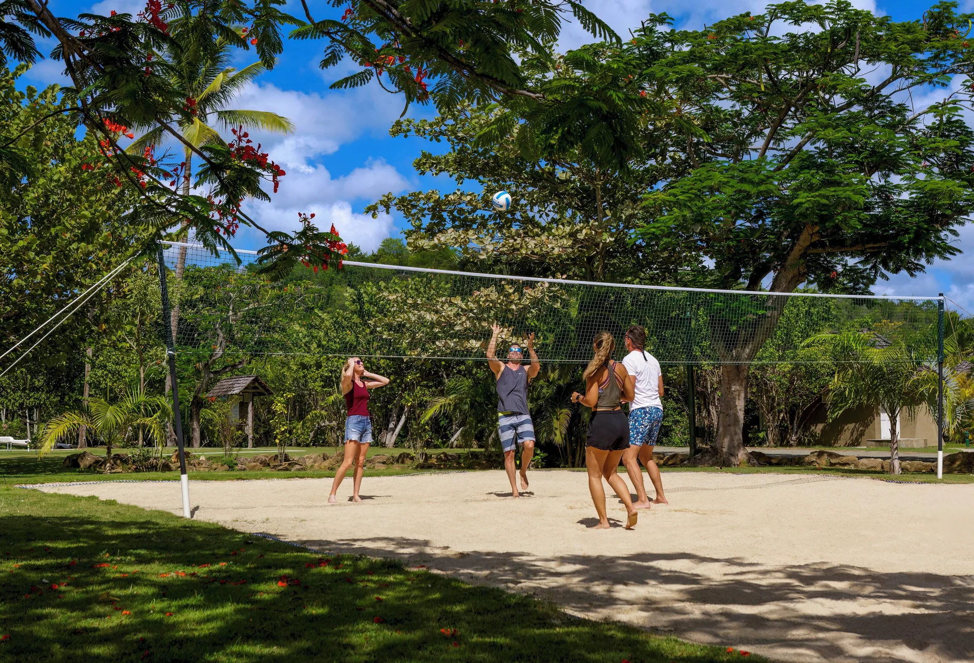 Guests play sand volleyball under trees at Galley Bay Resort & Spa.