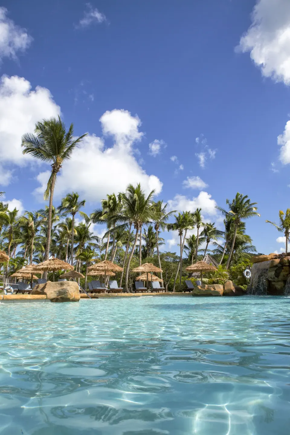 Swimming pool with palms, loungers and thatched umbrellas at Galley Bay Resort & Spa.