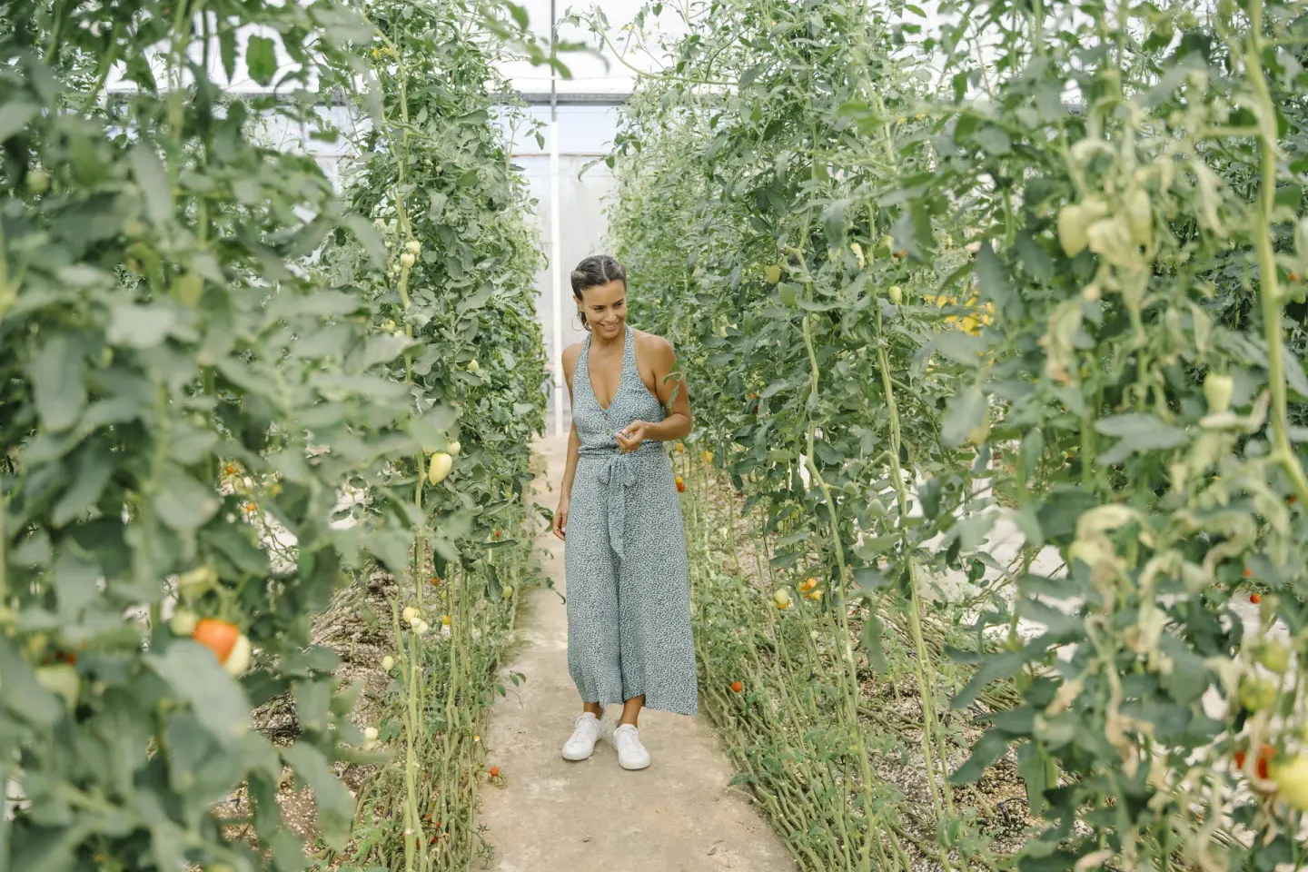 Guest walking between tomato plants in a greenhouse at Generations Riviera Maya.