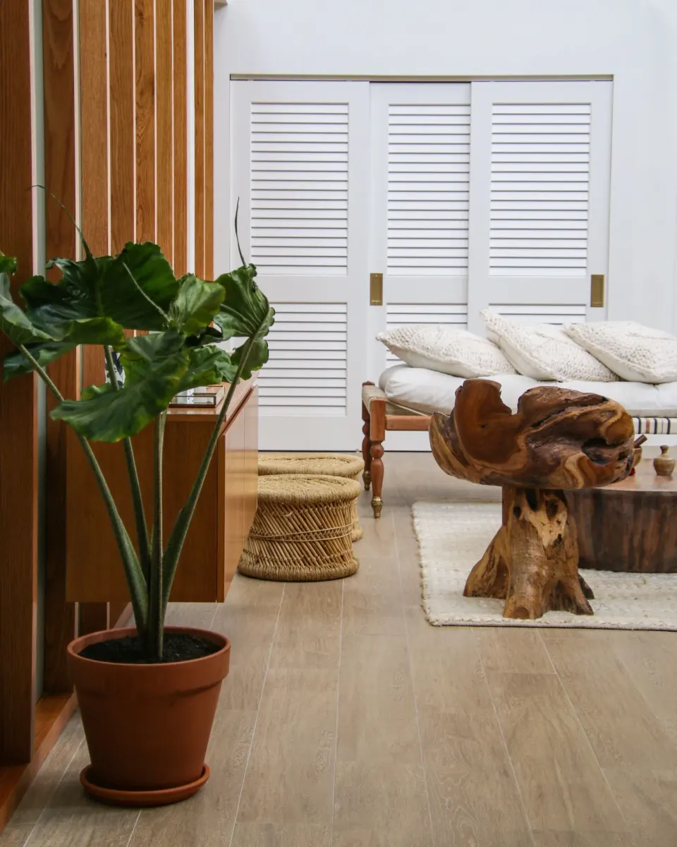 Potted plant, daybed and sculptural wood table in a lounge at Grand Cayman Marriott Resort.