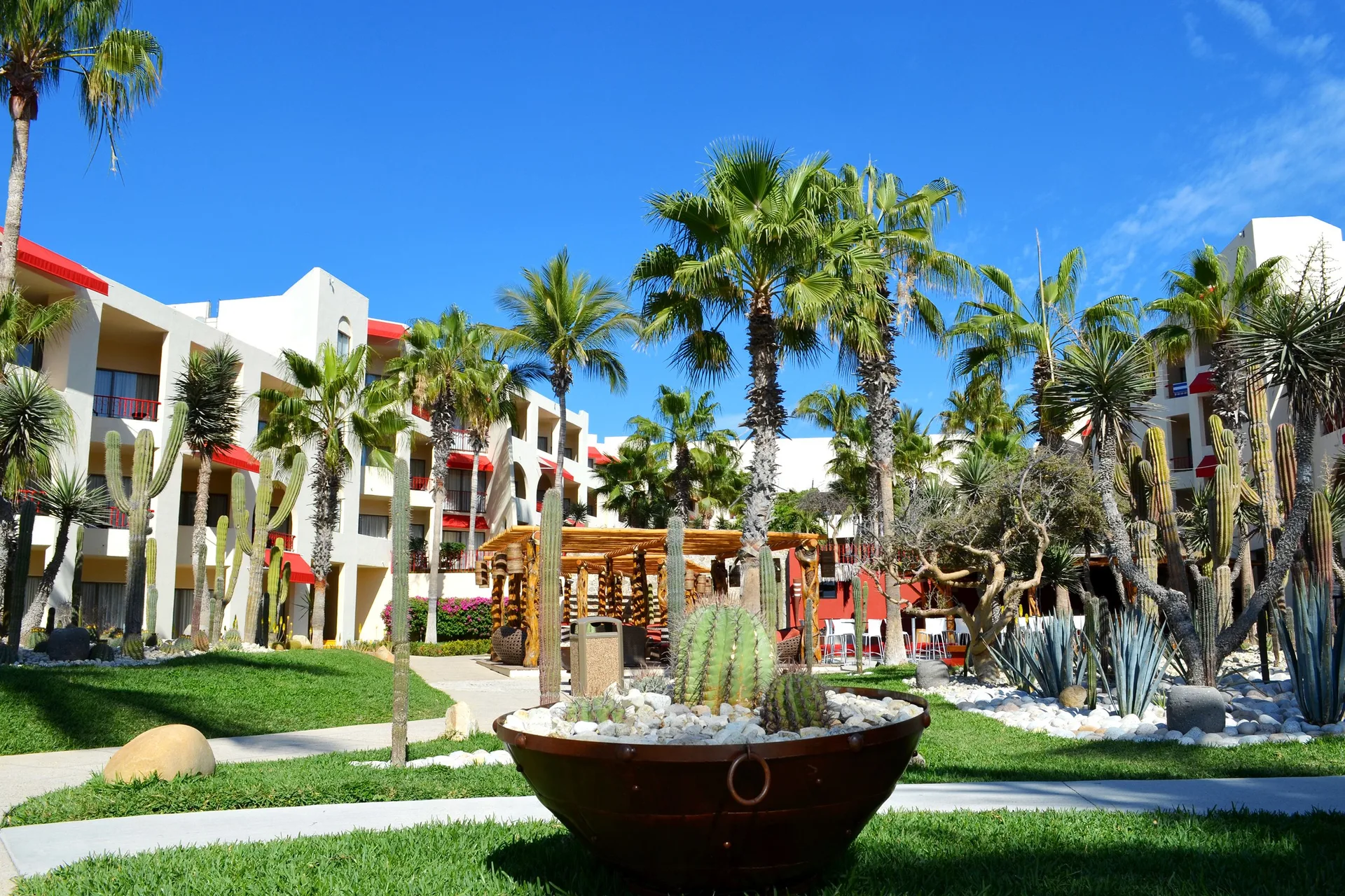 Palm and cactus garden between guest buildings at Grand Decameron Los Cabos.