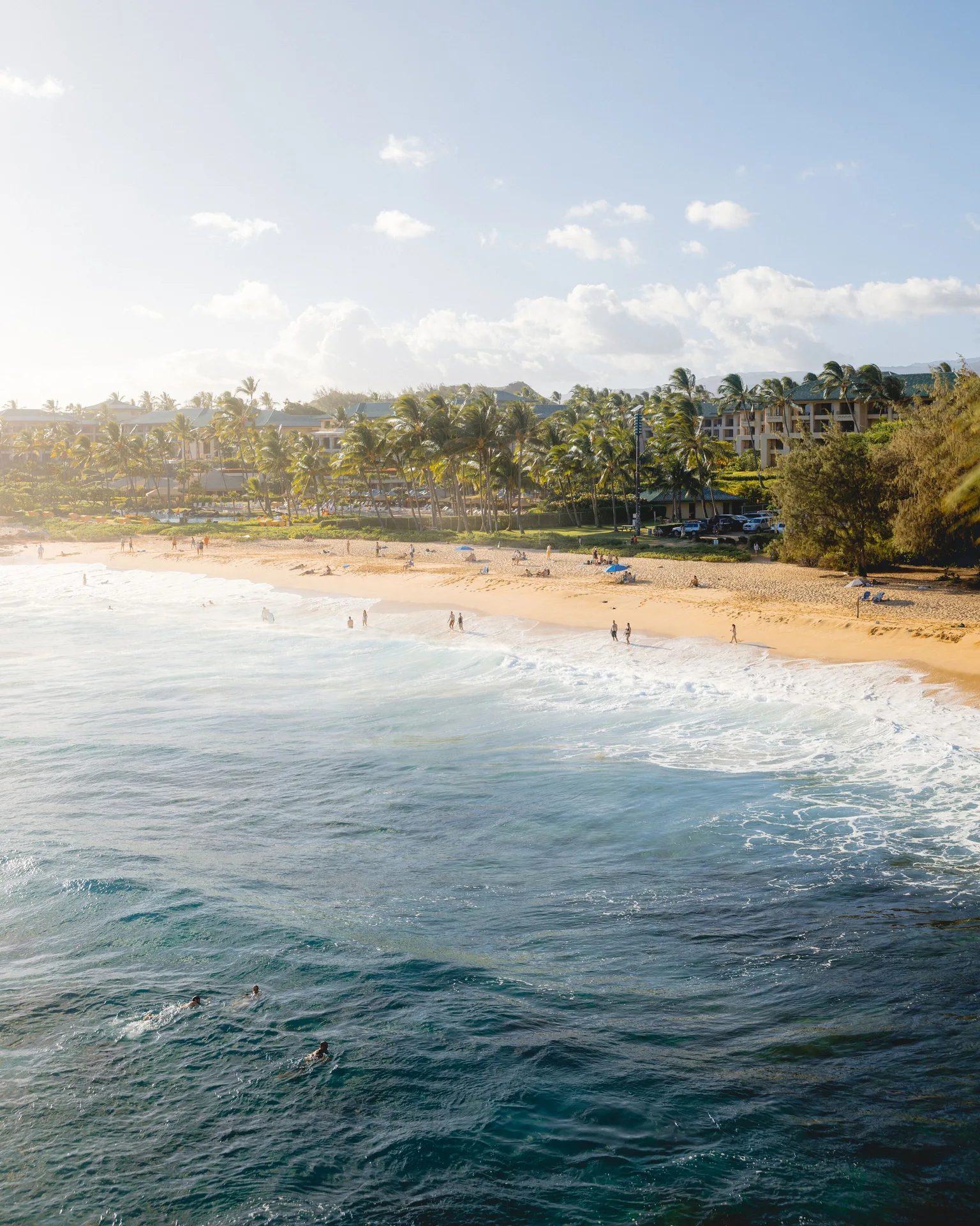 Beach and ocean in front of Grand Hyatt Kauai Resort and Spa and Spa with swimmers and palms.