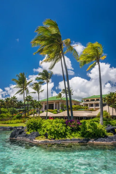 Palm trees and clear lagoon water at Grand Hyatt Kauai Resort and Spa and Spa.