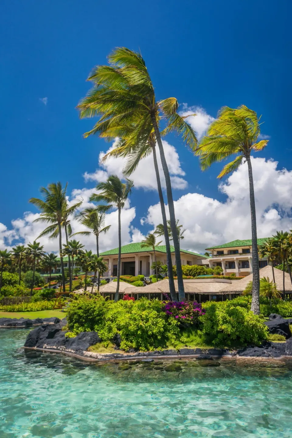 Palm trees and clear lagoon water at Grand Hyatt Kauai Resort and Spa and Spa.