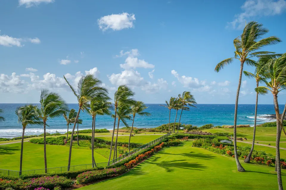 Ocean view with palms, lawn, and shoreline from Grand Hyatt Kauai Resort and Spa and Spa.