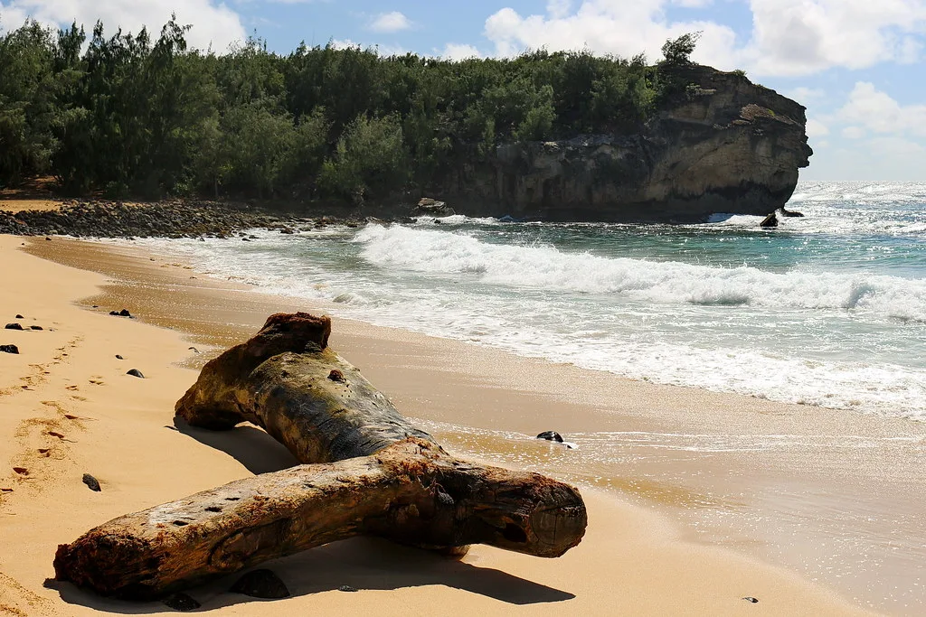 Keoniloa Bay 10 Min Walk