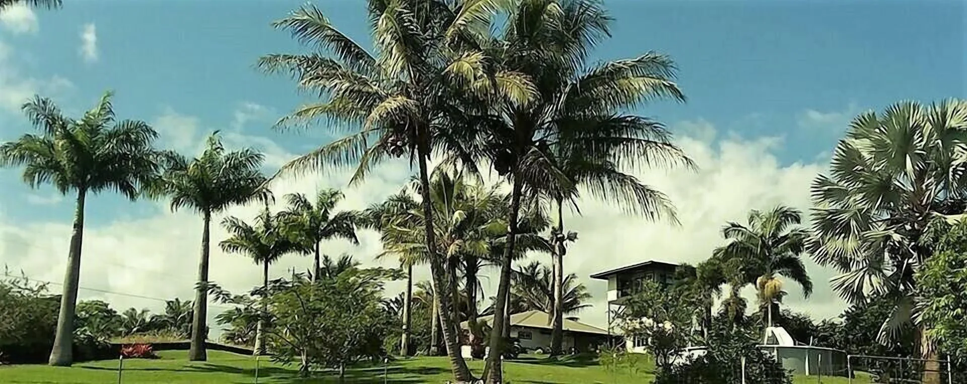 Island Goode's Luxury Adults Only Accommodation peaceful Big Island retreat with upscale tropical setting