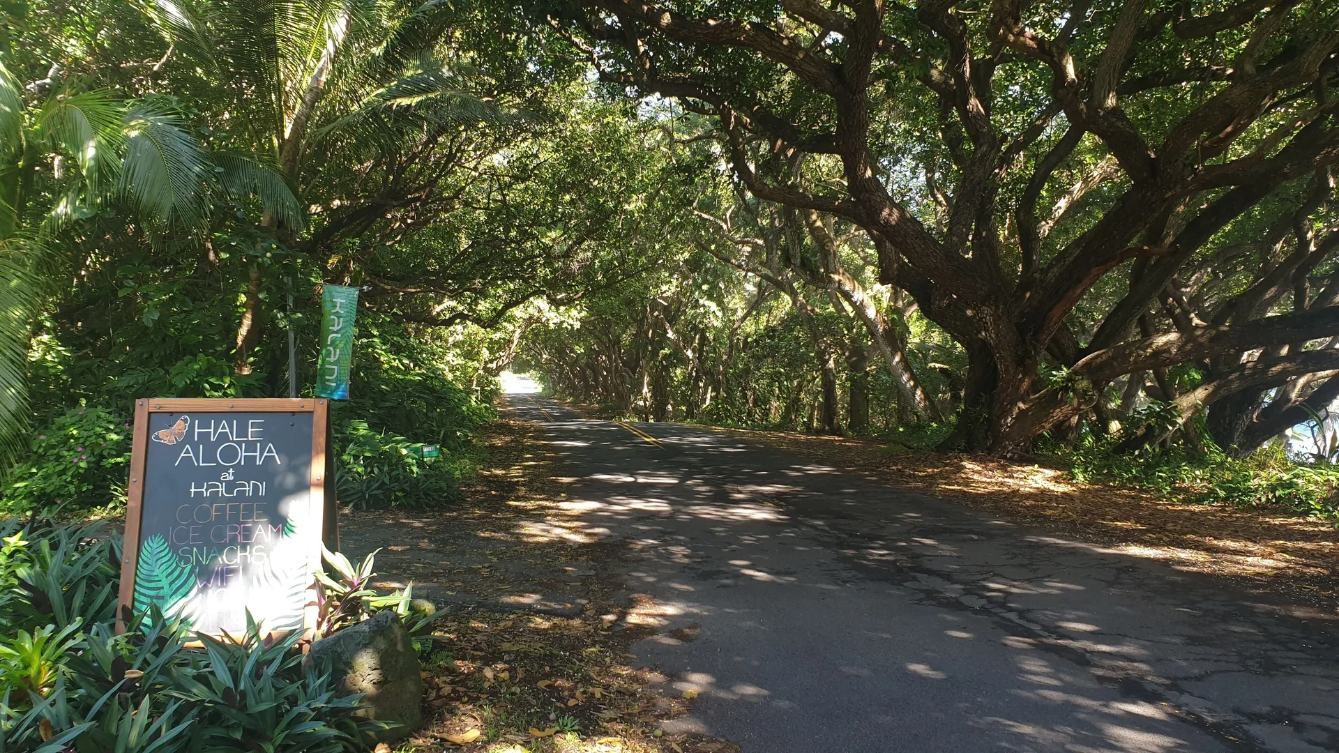 Kalani Oceanside Retreat coastal wellness retreat with tropical grounds and community-centered Big Island atmosphere
