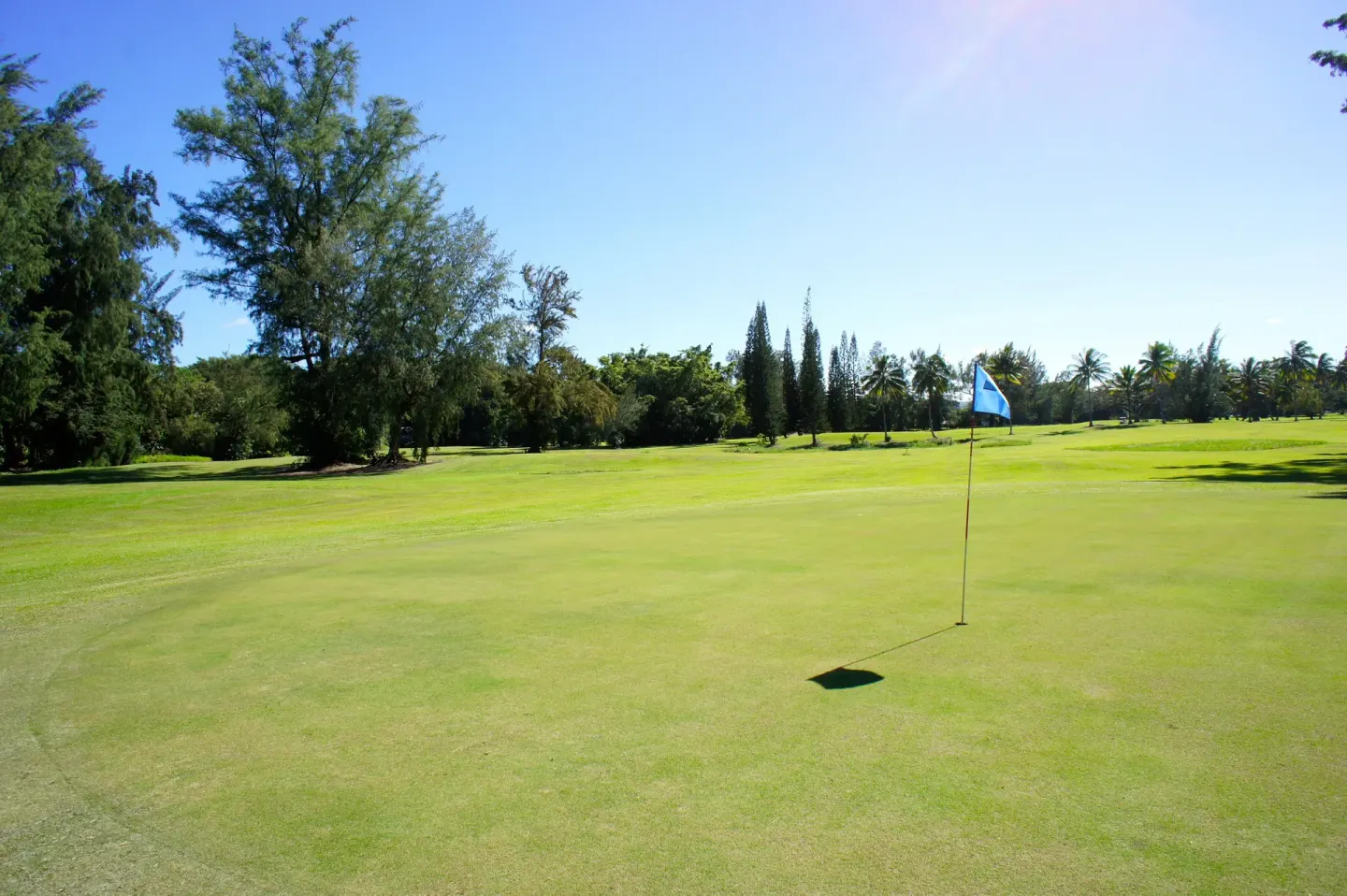 A golf green with a flag is shown near Grand Naniloa Hotel Hilo.