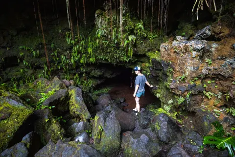 Hiker among mossy rocks, vines, and ferns near Grand Naniloa Hotel Hilo.