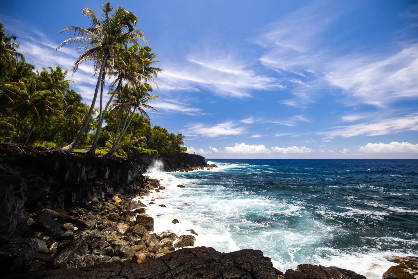 Rocky palm-lined shoreline and ocean surf near Grand Naniloa Hotel Hilo.