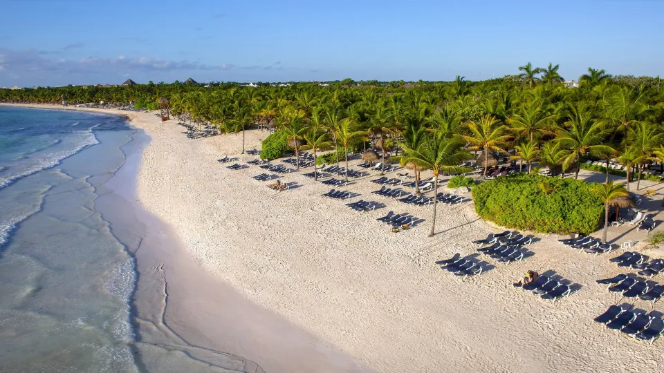 Aerial view of sandy beach lined with palm trees and rows of loungers at Grand Palladium Colonial Resort & Spa