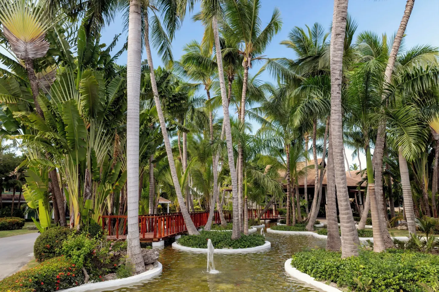 Tropical garden pond with palms, a small fountain, and red footbridge at Grand Palladium Select Bávaro.