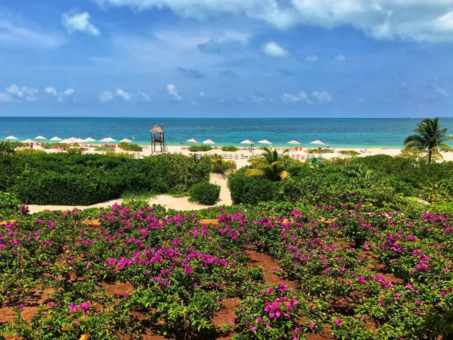 Punta Sam Beach 10 Min Drive