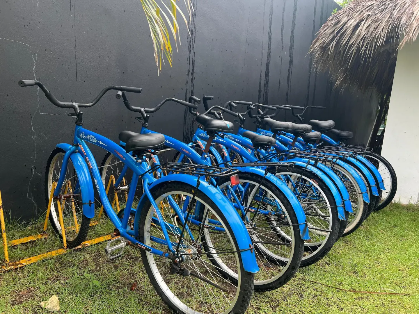 Blue resort bicycles parked outdoors at Grand Sirenis Punta Cana Resort & Aquagames.