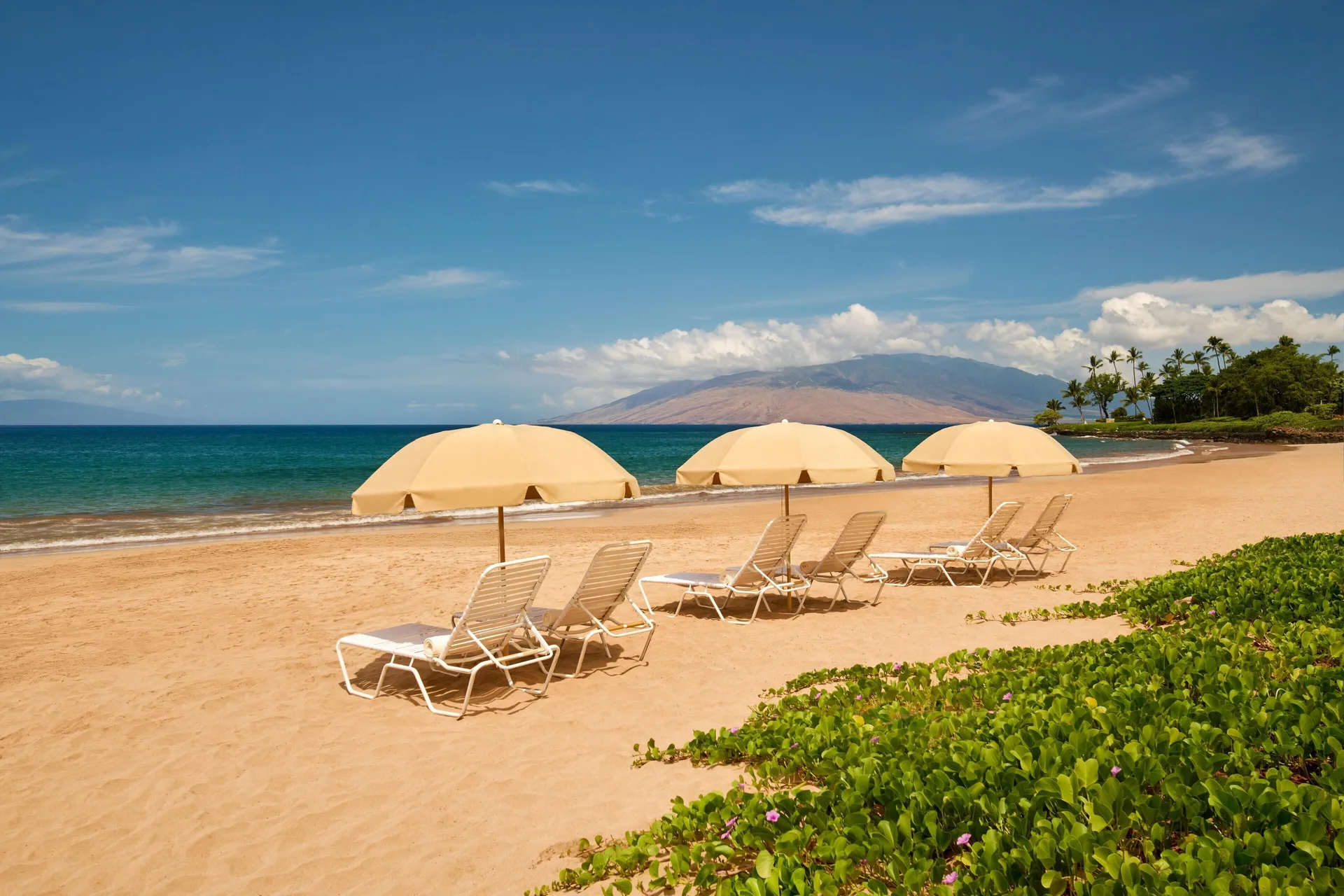 Beach lounge chairs and umbrellas facing the ocean at Grand Wailea Maui.