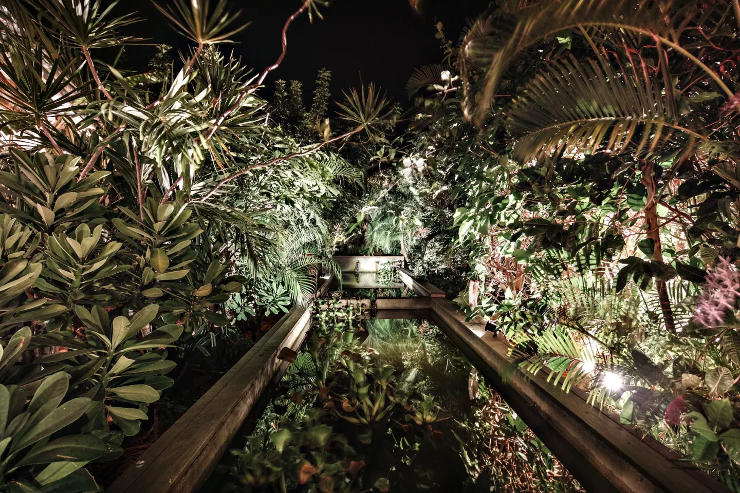 Night garden walkway with reflecting water and tropical plants at GYP SEA Saint Barth.