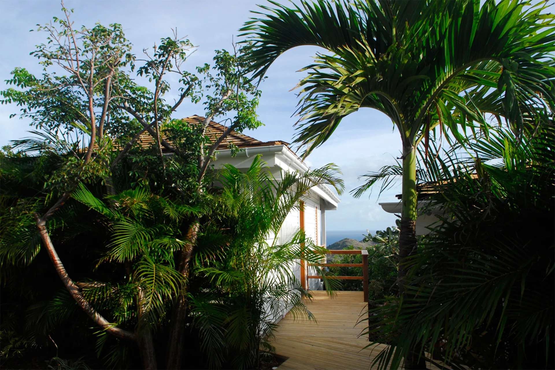 Tropical Bungalow walkway through palms with a glimpse of the sea at GYP SEA Saint Barth.