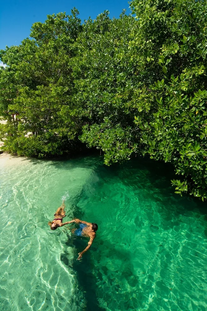 Swimmer floating in clear water beside mangroves at Hacienda Tres Rios Resort, Spa & Nature Park.