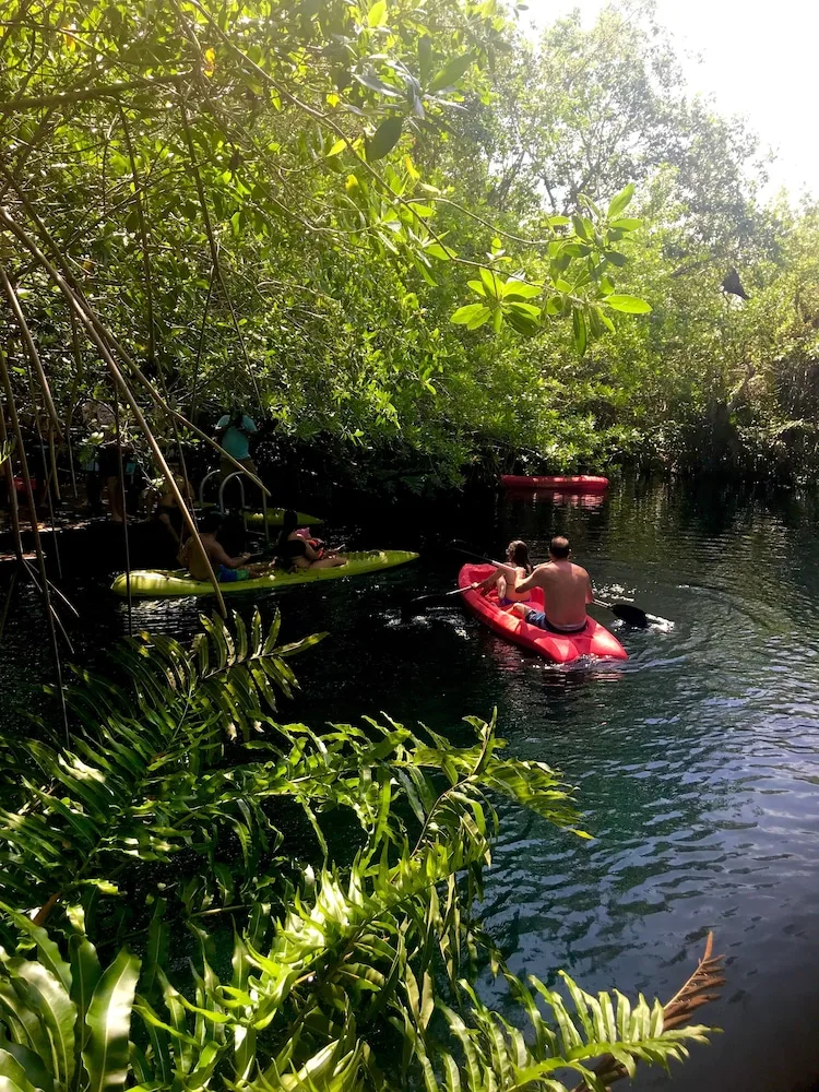 Guests kayaking through greenery at Hacienda Tres Rios Resort, Spa & Nature Park.