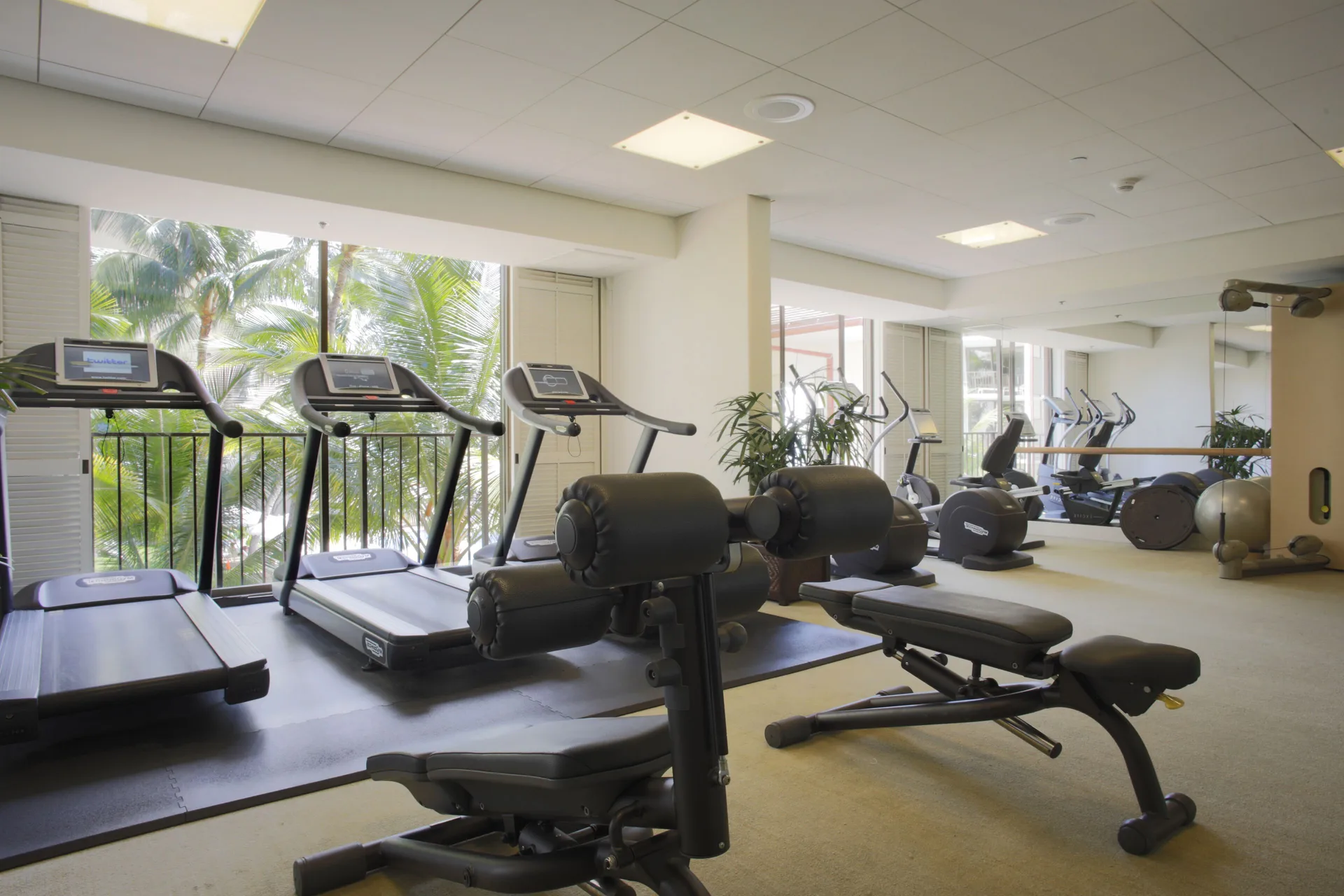 Fitness room with treadmills, weight benches, mirrors, and palms outside at Halekulani.