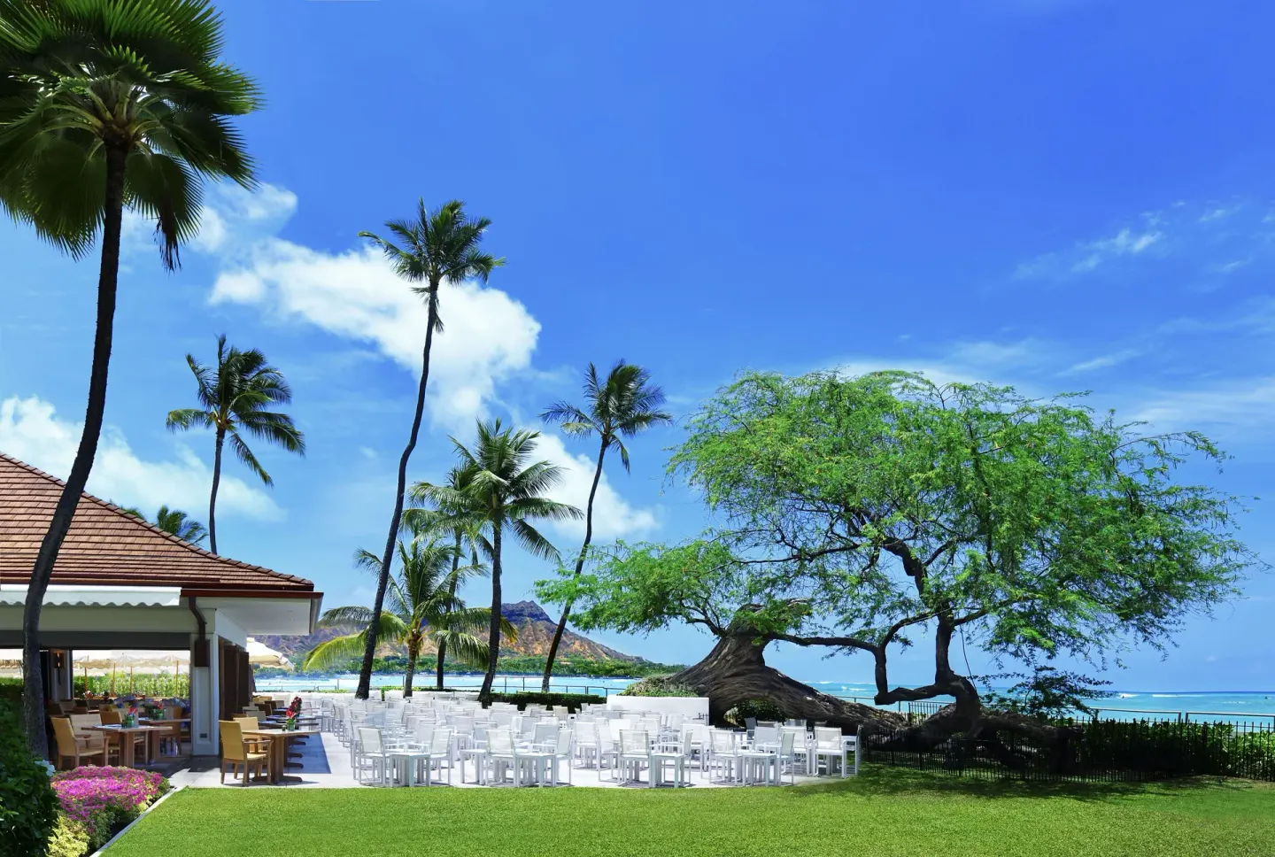 White ceremony chairs face the ocean on a lawn at Halekulani.