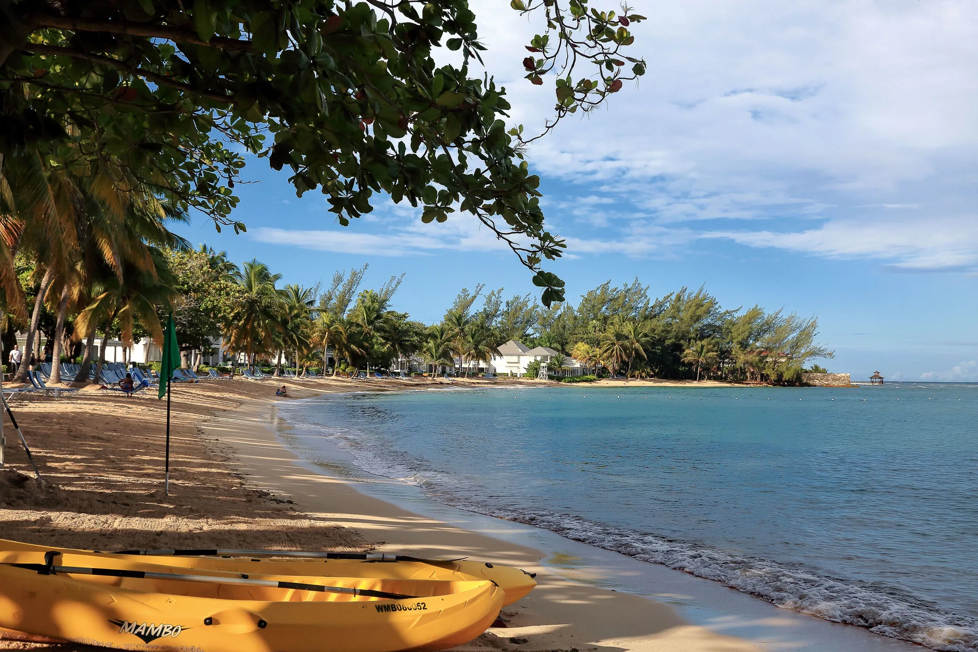 Yellow kayaks rest under palms beside the calm beach at Half Moon.