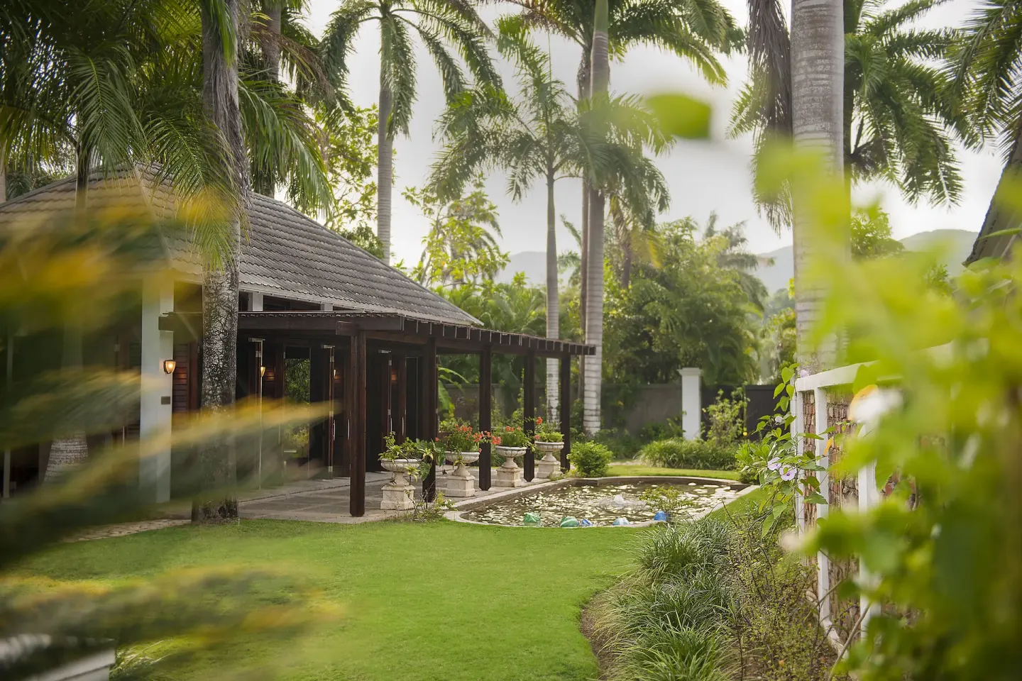 A garden lawn, lily pond, and palm-framed building are seen at Half Moon.