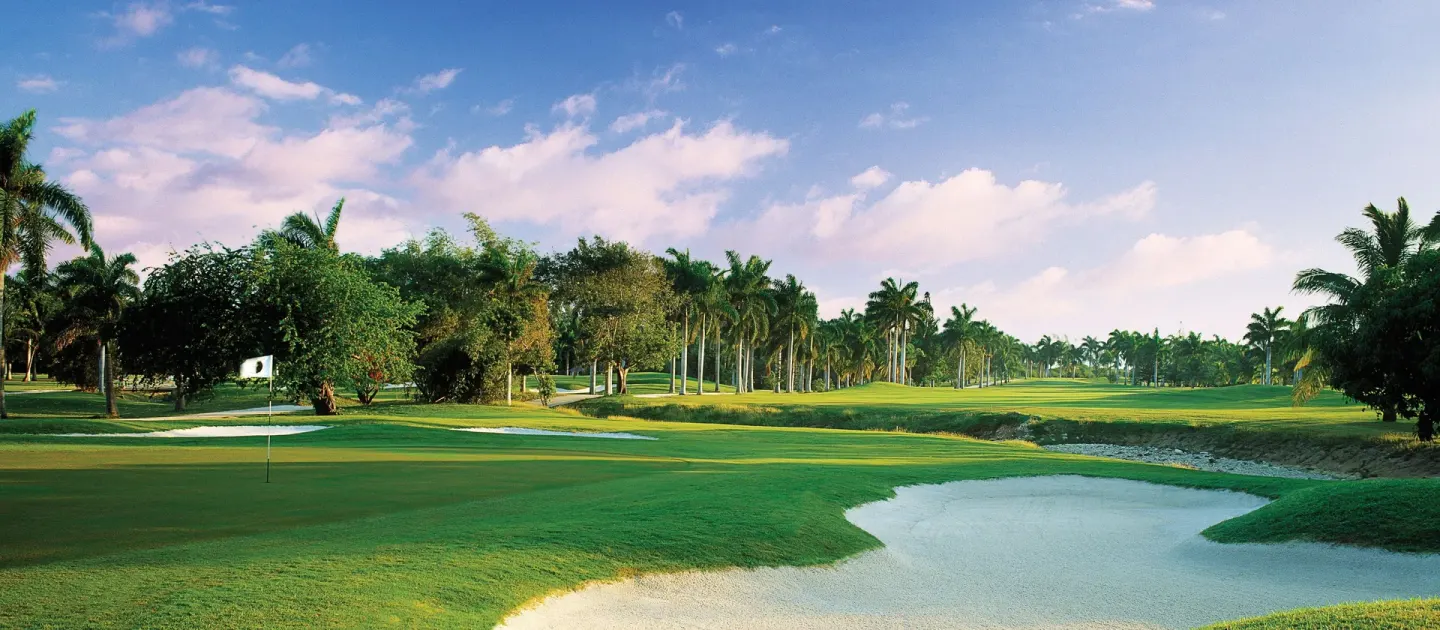 Golf green with sand bunkers and palm-lined fairway at Half Moon.