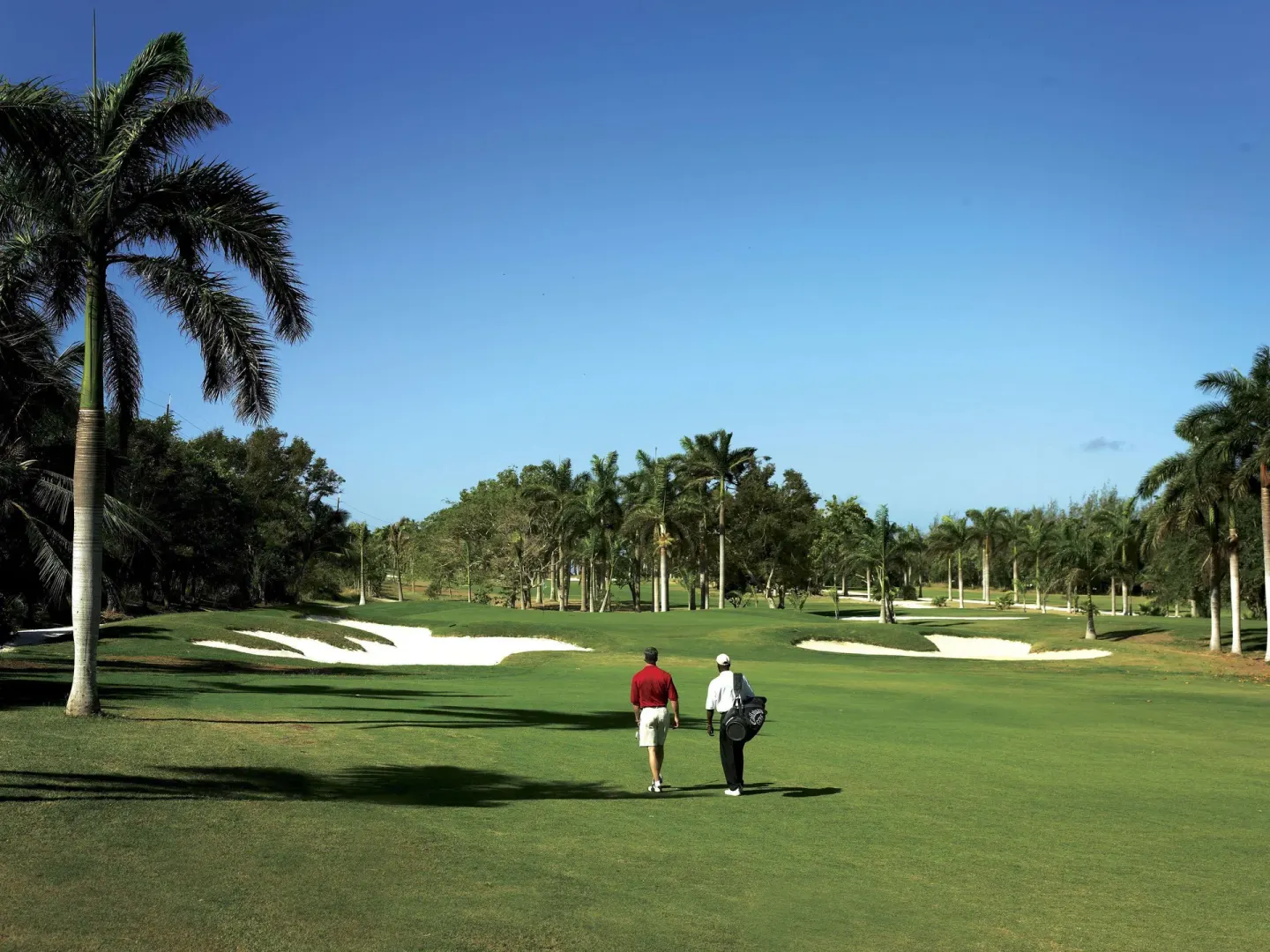 Two golfers walking along a fairway between white sand bunkers at Half Moon.