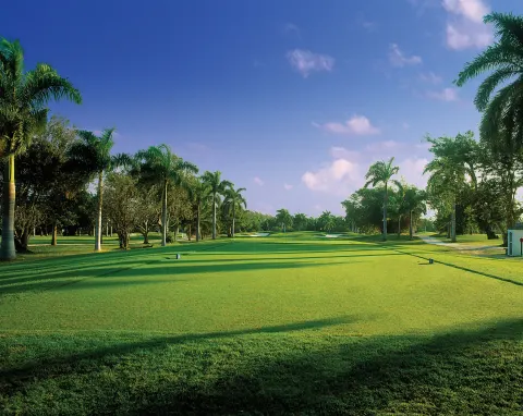 Palm-lined golf fairway with tee markers and distant bunkers at Half Moon.