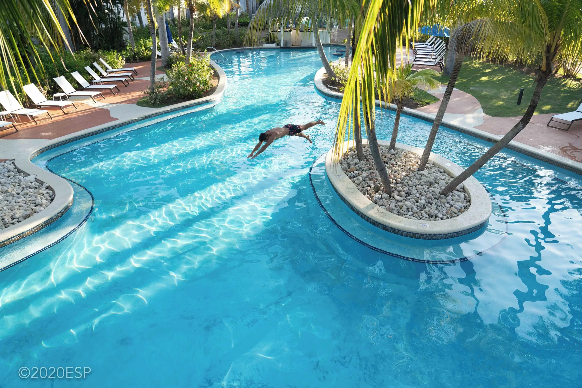 Swimmer diving into a winding palm-lined pool at Half Moon.