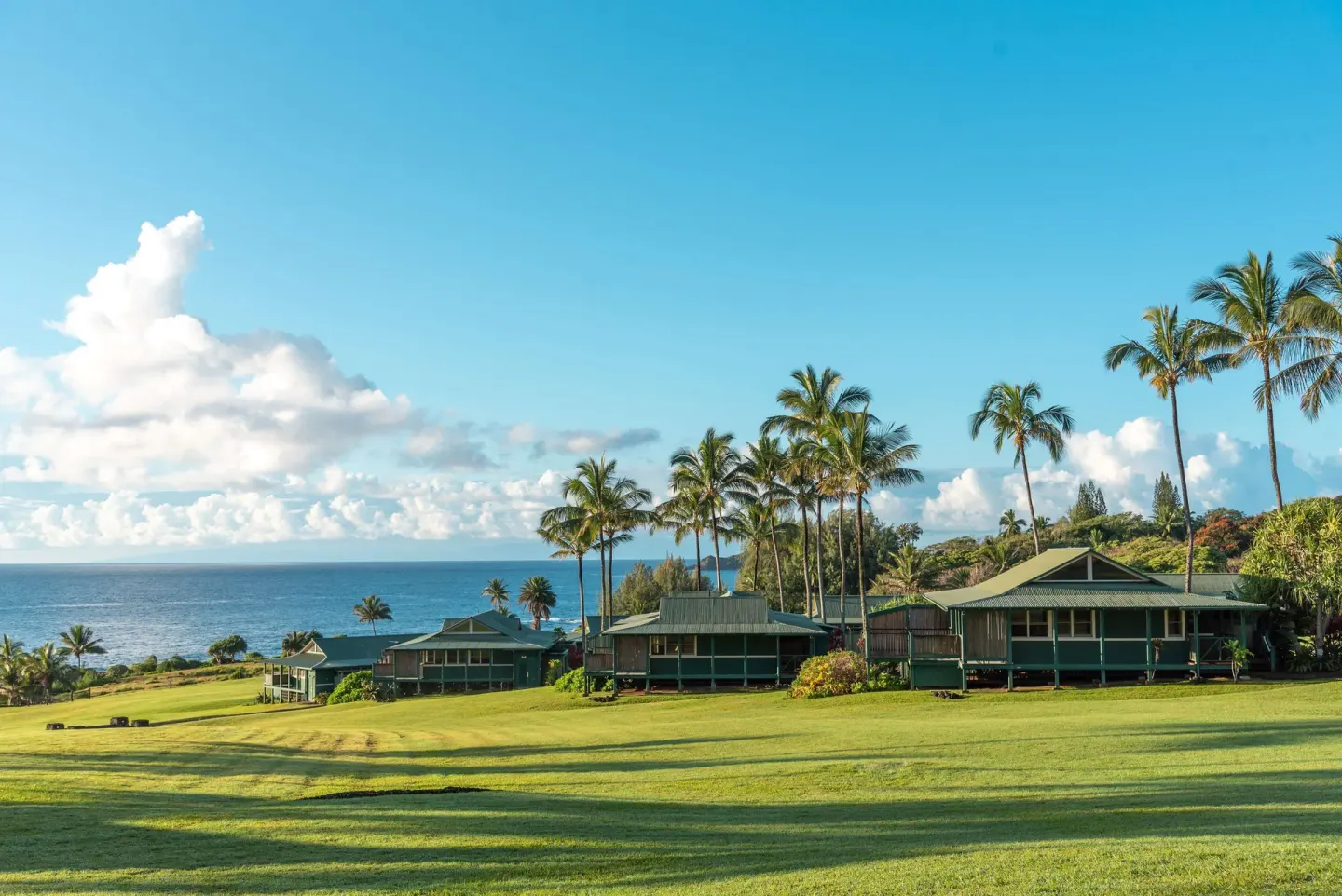 Cottages on a sloping oceanfront lawn with palms at Hana-Maui Resort.