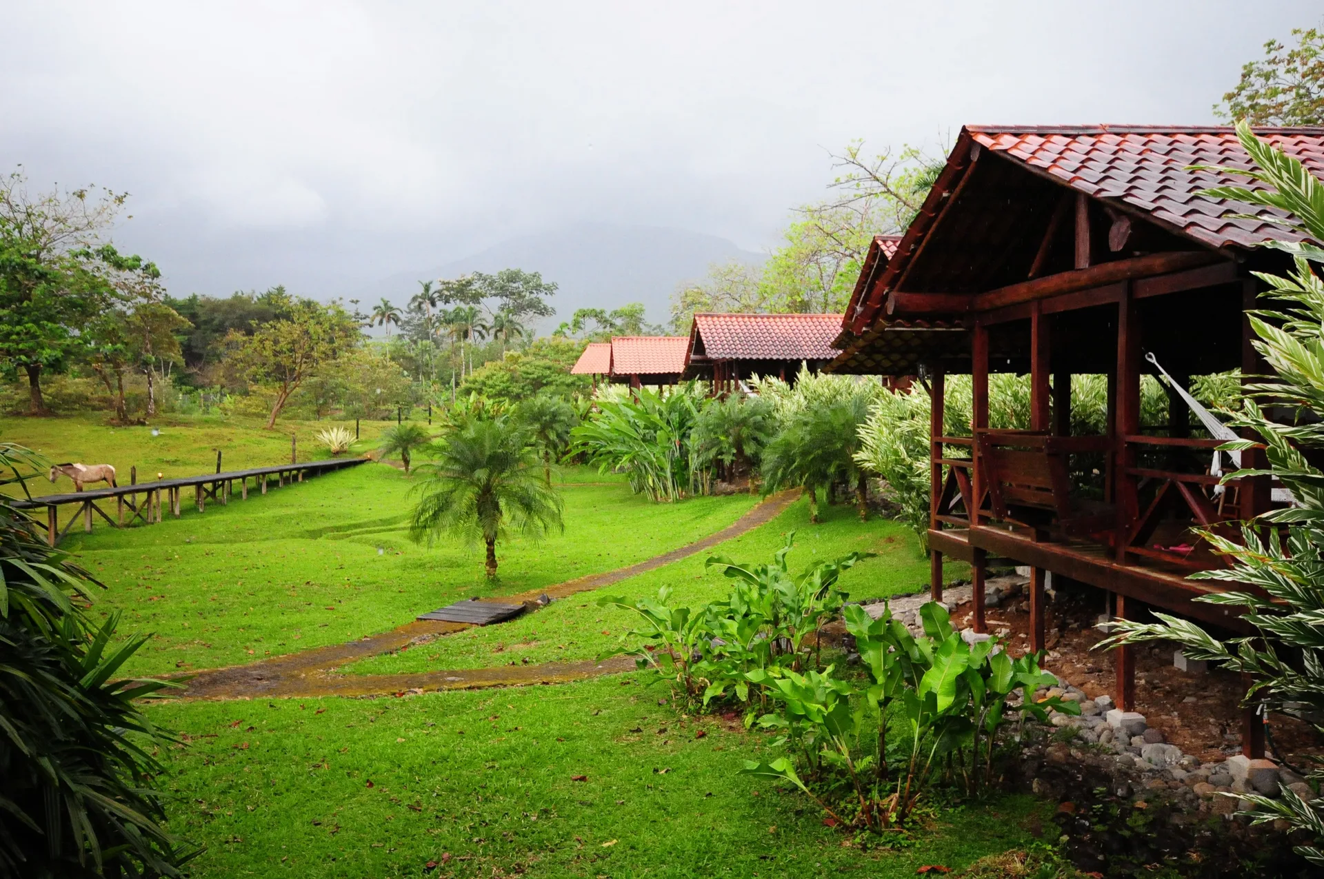 La Anita Rainforest Ranch working rainforest ranch with cacao tours and rural lodging