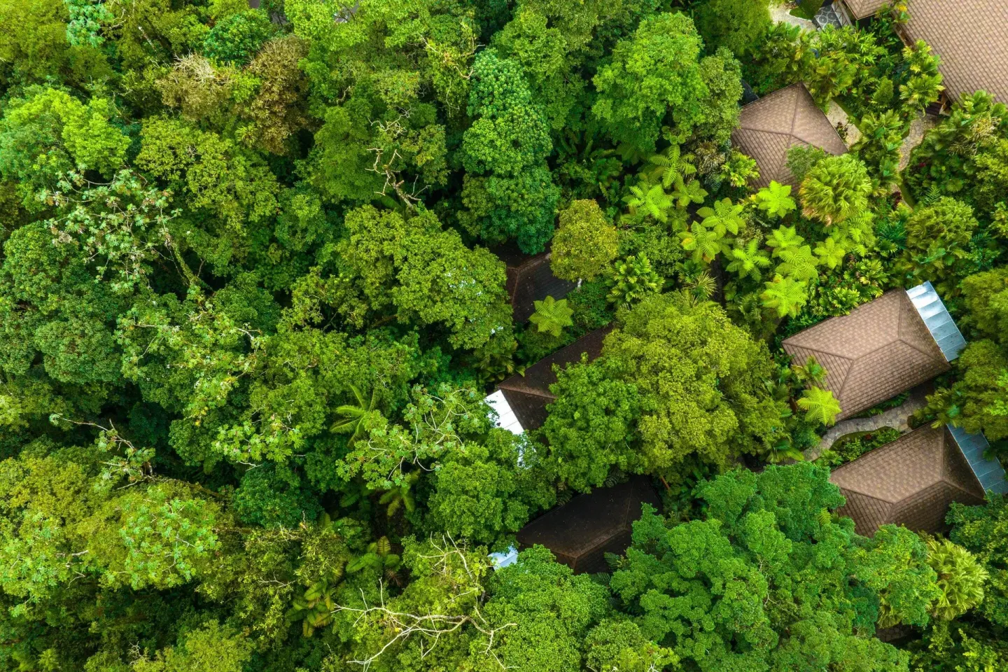 Aerial view of rainforest and resort rooftops at Hideaway Rio Celeste.