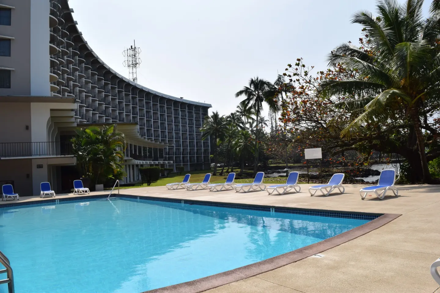 Pool with lounge chairs, palm trees, and curved hotel balconies at Hilo Hawaiian Hotel.