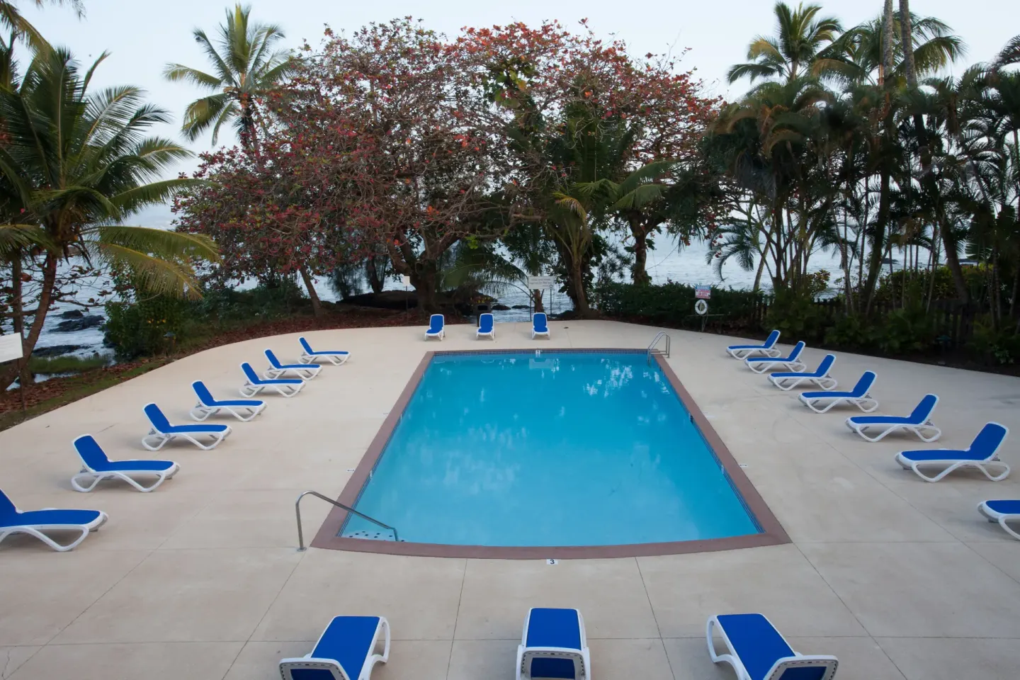 Pool framed by blue lounge chairs, palms, and oceanfront trees at Hilo Hawaiian Hotel.