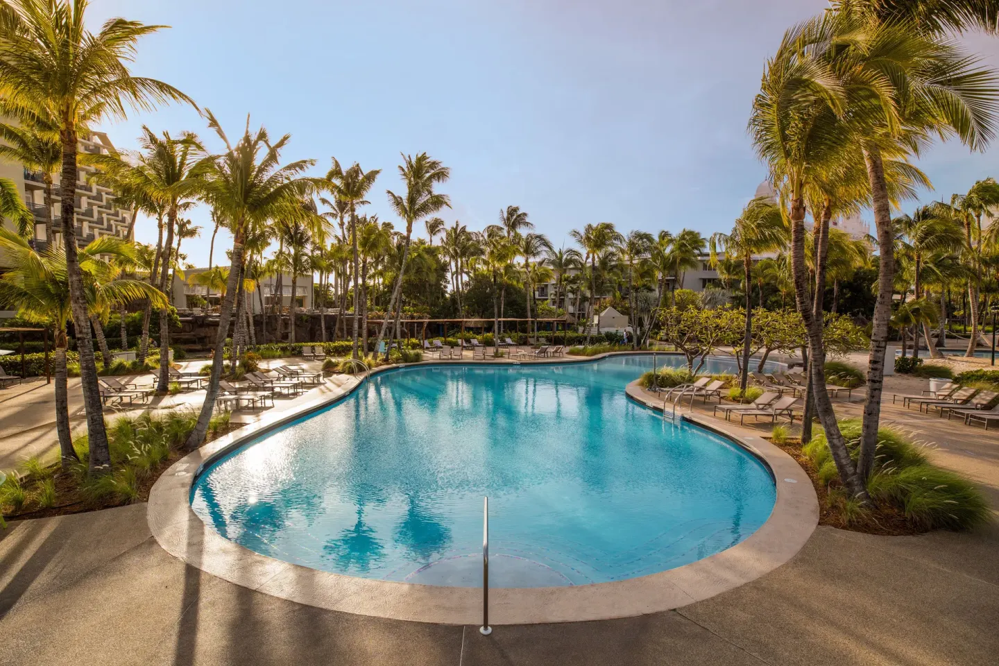 Curved resort pool with palms and lounge chairs at Hilton Aruba Caribbean Resort and Casino.