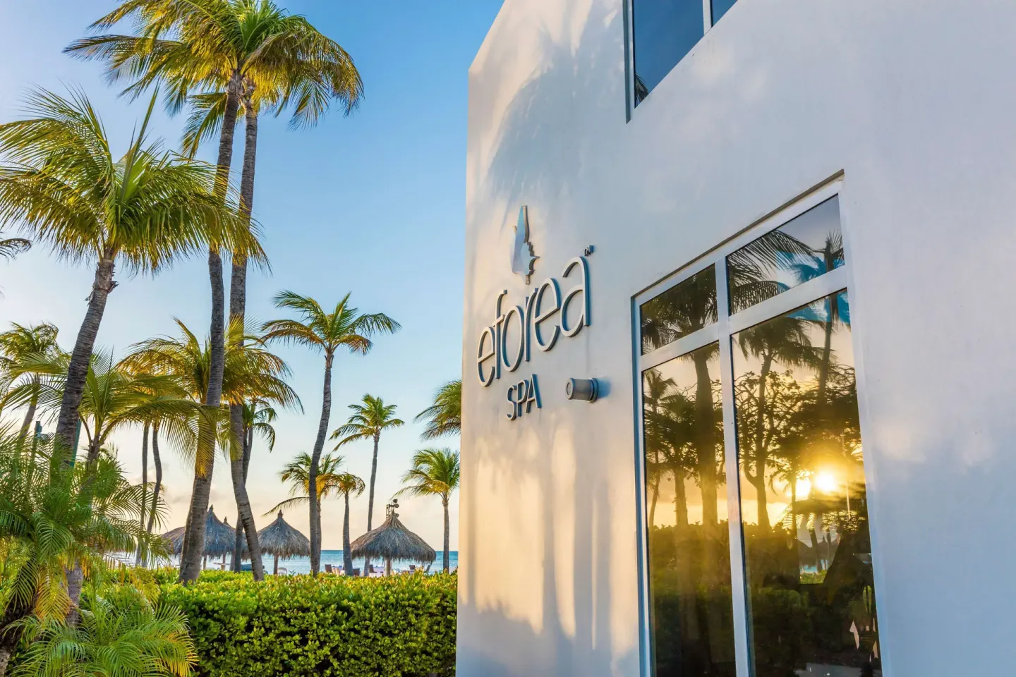 Eforea Spa exterior with palms and beach beyond at Hilton Aruba Caribbean Resort and Casino.