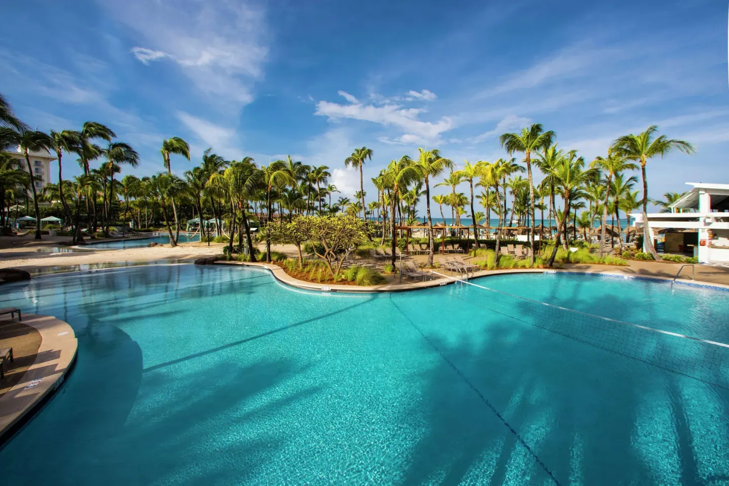 Resort pools with palms and ocean beyond at Hilton Aruba Caribbean Resort and Casino.