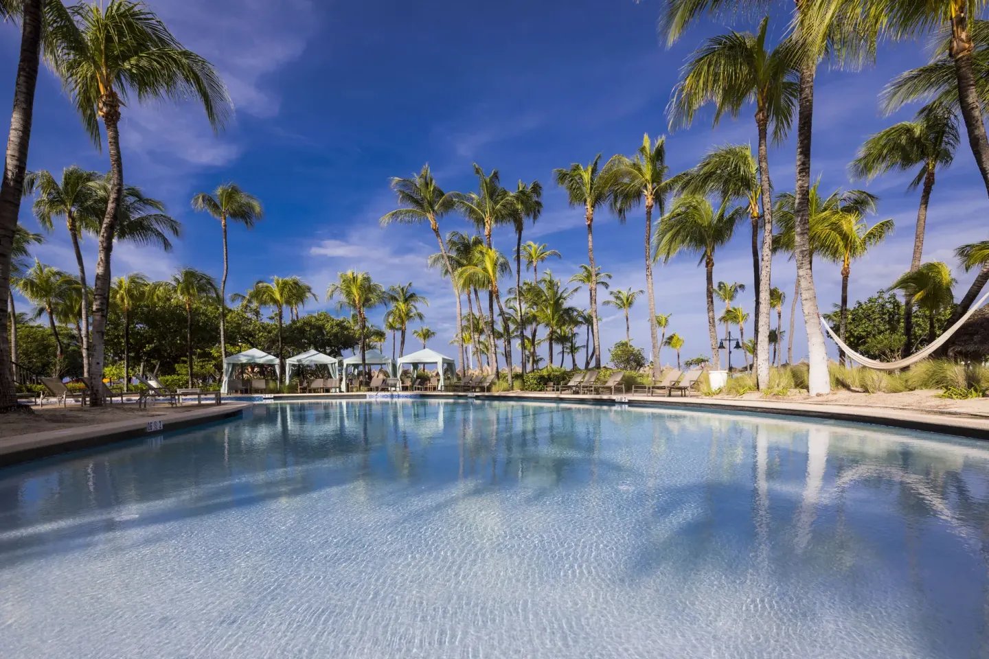 Wide resort pool under tall palms at Hilton Aruba Caribbean Resort and Casino.