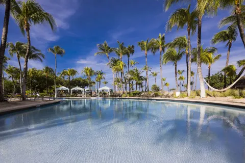 Wide resort pool under tall palms at Hilton Aruba Caribbean Resort and Casino.