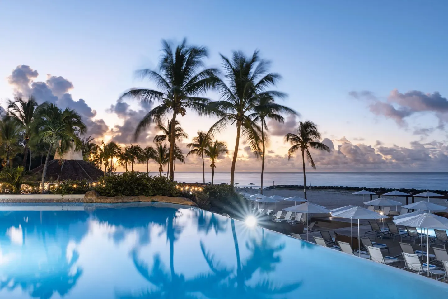 Infinity-edge pool with palms and ocean beyond at Hilton Barbados Resort.