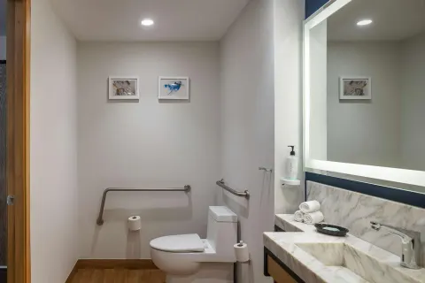 Accessible bathroom with grab bars and marble vanity at Hilton Garden Inn Cancun Airport.