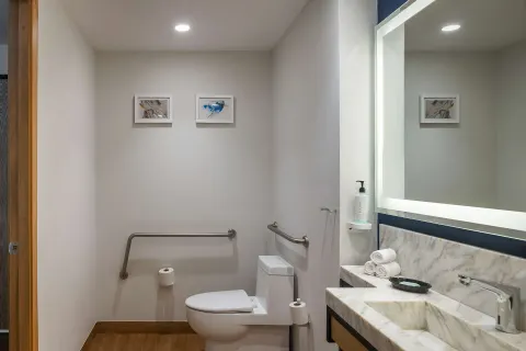 Accessible bathroom with grab bars and vanity at Hilton Garden Inn Cancun Airport.