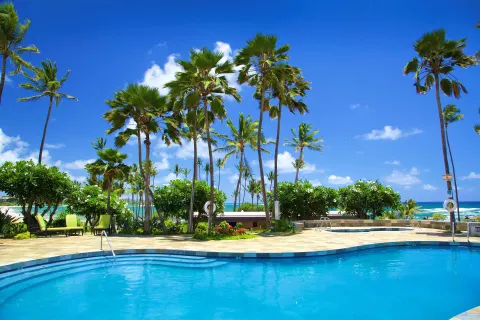 Daytime pool with palm trees and ocean backdrop at Hilton Garden Inn Kauai Wailua Bay.