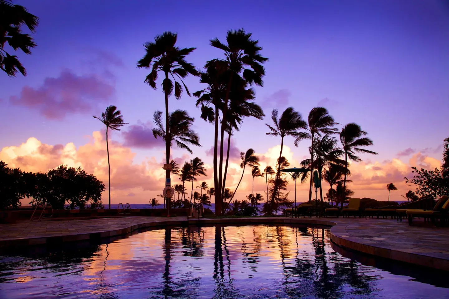 Pool silhouettes and palm trees at dusk at Hilton Garden Inn Kauai Wailua Bay.