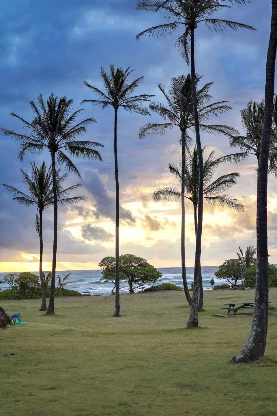 Palm trees at sunset near the ocean at Hilton Garden Inn Kauai Wailua Bay.